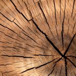 Wielostronne zastosowania frezów do drewna: kreatywność w obróbce drewna
